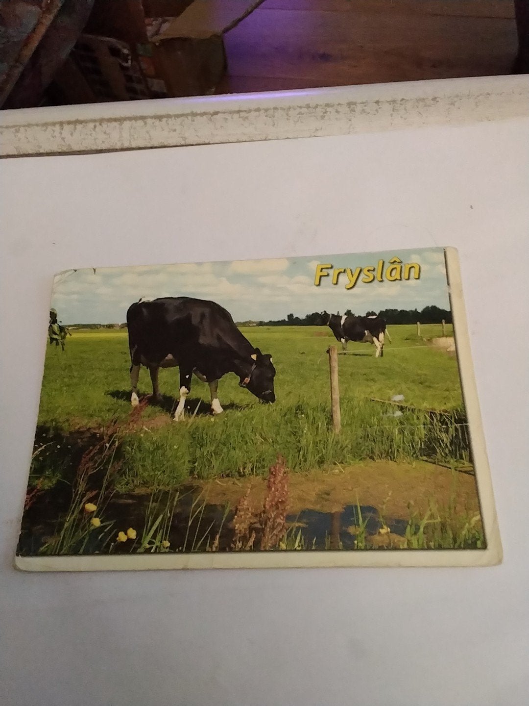 Oude Ansichtkaart Fryslân met Koeien -, Ophalen of Verzenden, 1960 tot 1980, Gelopen, Friesland