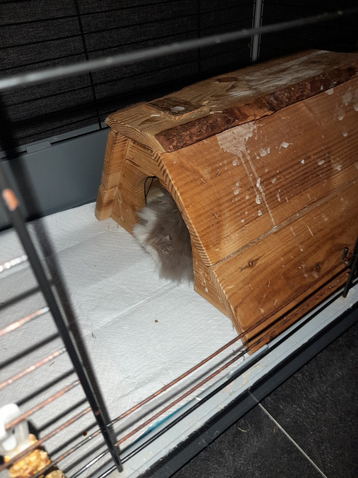 Fluffy konijntjes, Minder dan 60 cm, Kooi, Minder dan 75 cm, Ophalen of Verzenden