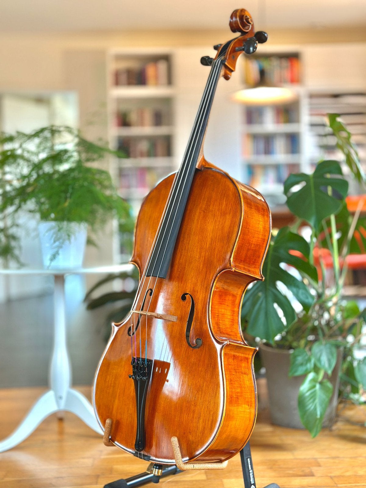 Nieuwe handgemaakte bulgaarse 4/4 cello, Ophalen, Nieuw, 4/4-cello, Met koffer