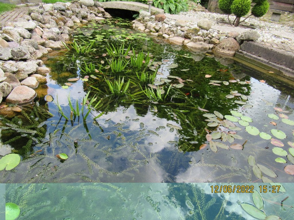 zuurstofplanten in gratis 12 ltr emmer, Ophalen, Nieuw