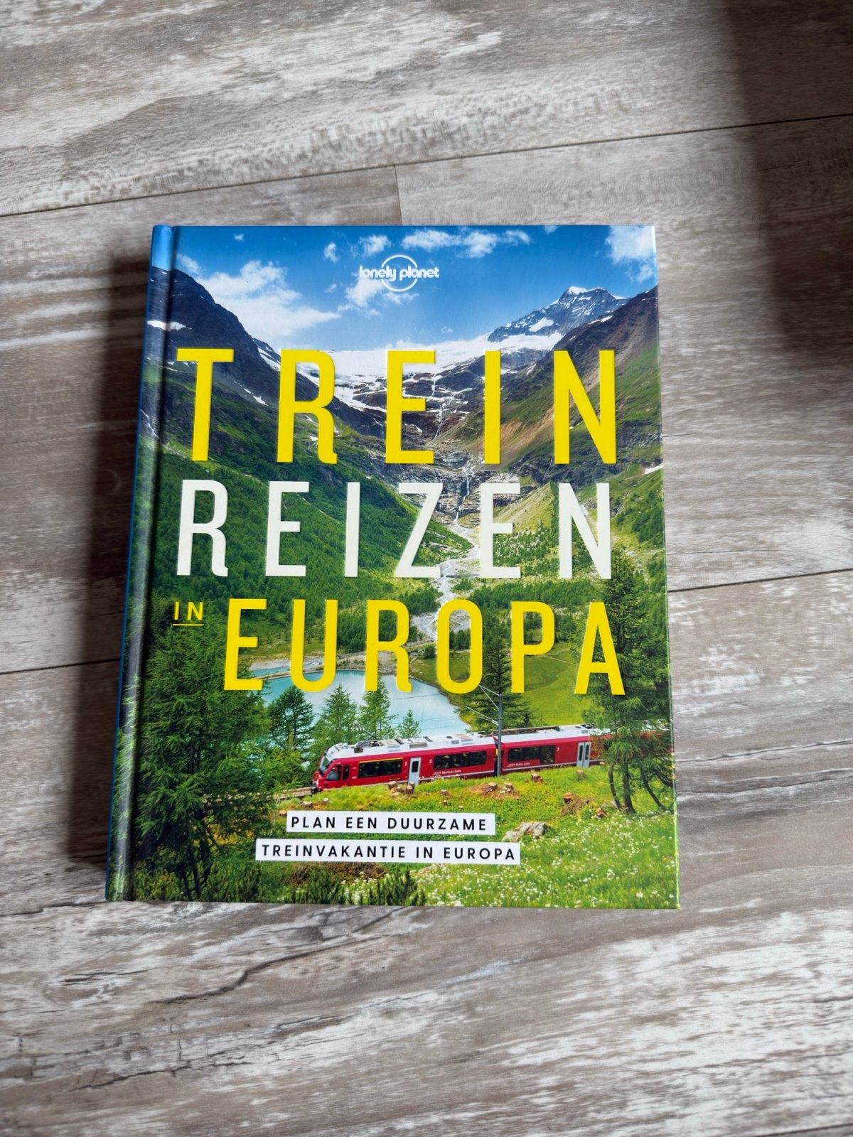 Lonely Planet Treinreizen in Europa - Reisgids, Lonely Planet, Europa, Ophalen of Verzenden, Zo goed als nieuw