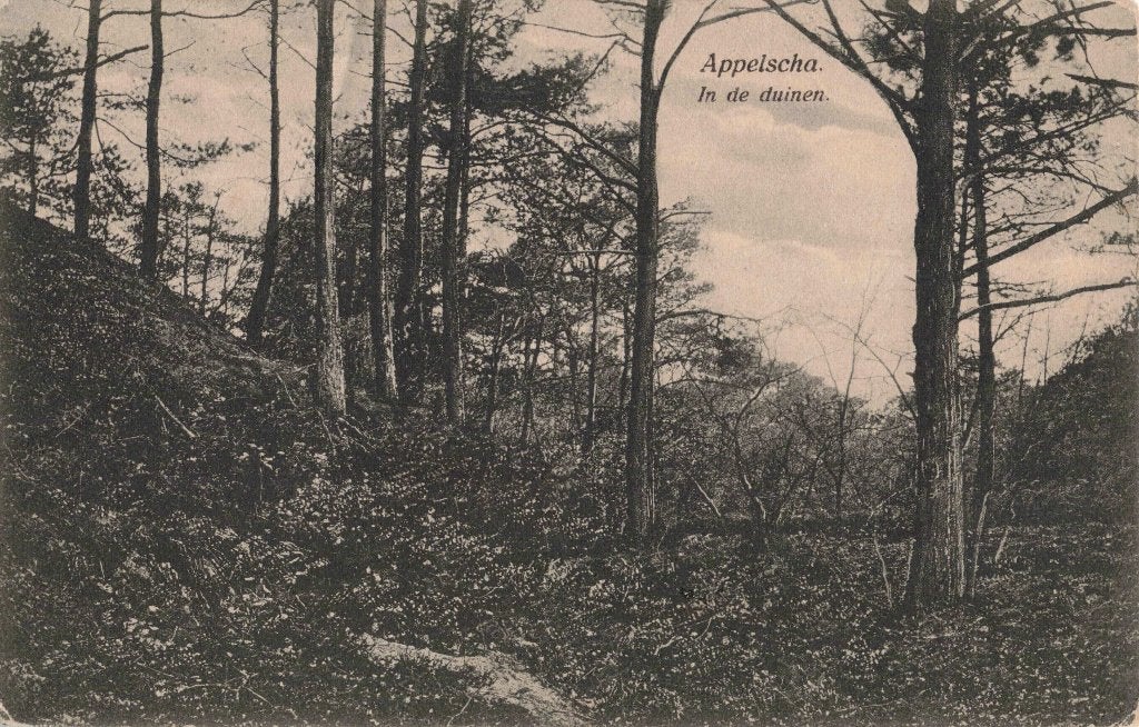 Appelscha In de duinen L2879, Ophalen, 1920 tot 1940, Gelopen, Friesland