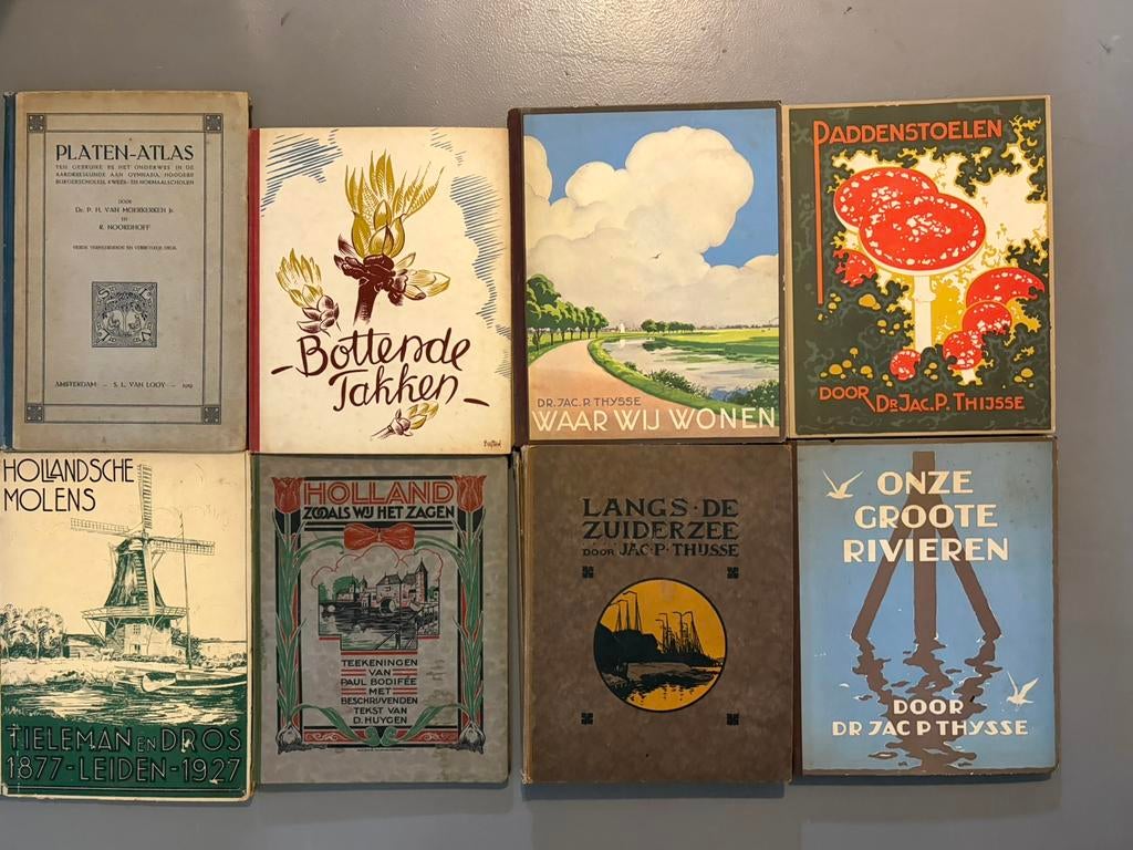 Antieke plaatjesboeken, Antiek en Kunst, Ophalen of Verzenden