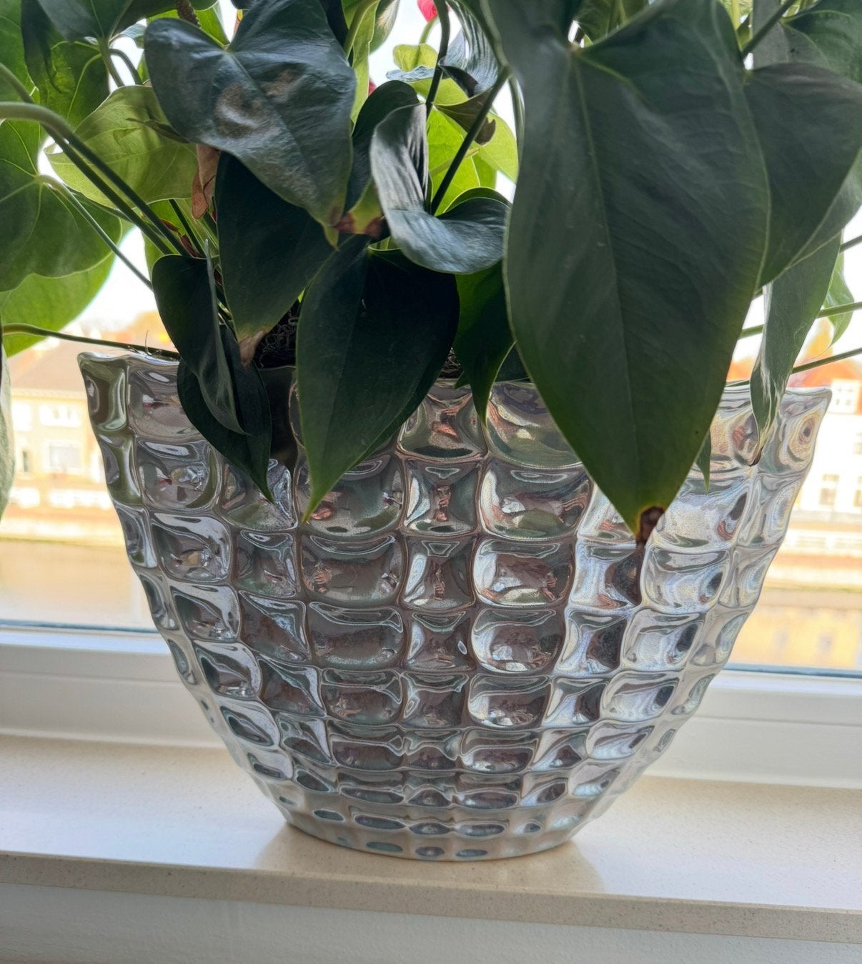 Bloempot, Ophalen, Zo goed als nieuw, Plantenpot of Plantenbak, Overige vormen