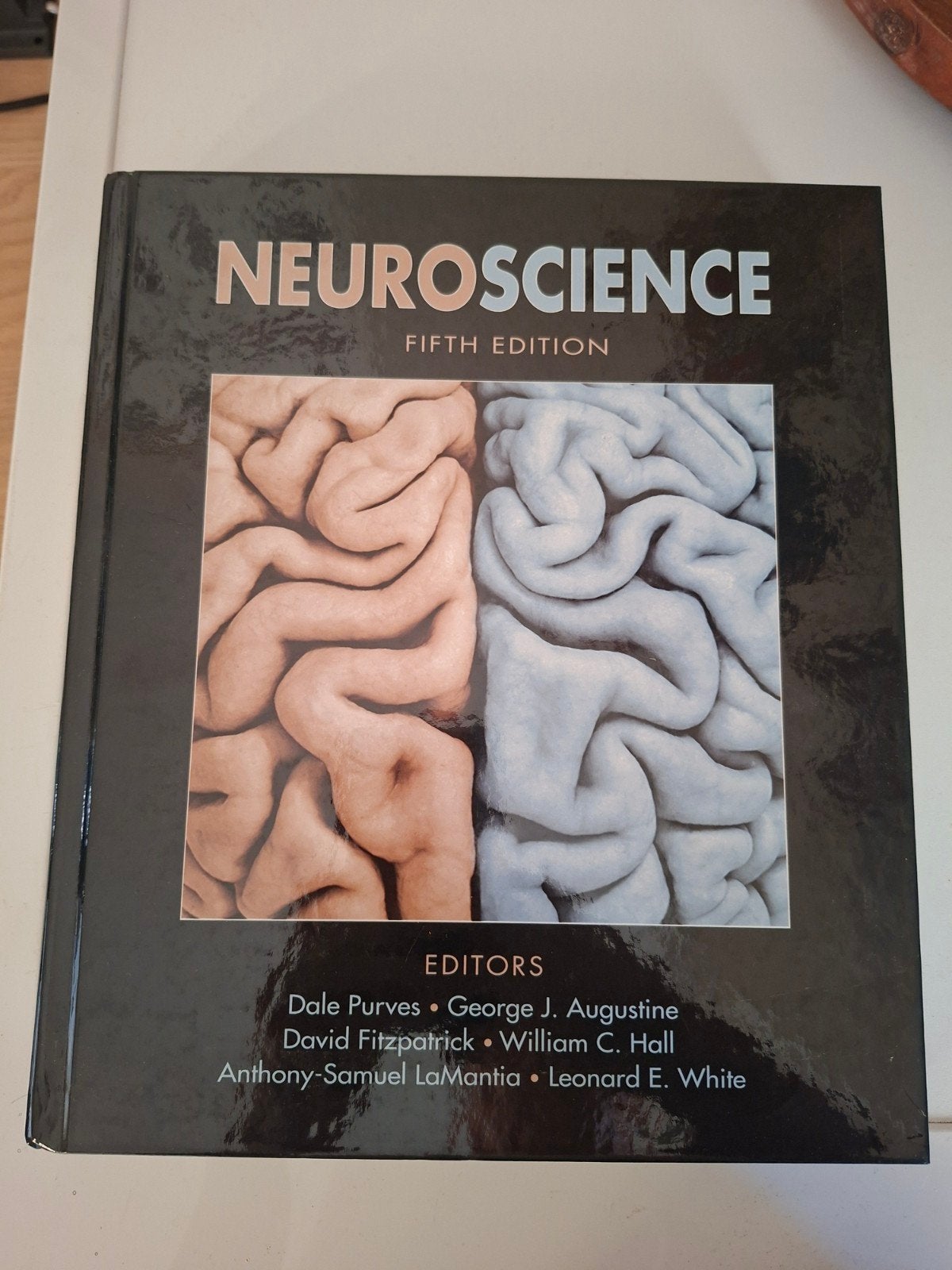 Neuroscience Vijfde Editie - Studieboek, Boeken, Gelezen, Ophalen of Verzenden, WO, Dale Purves