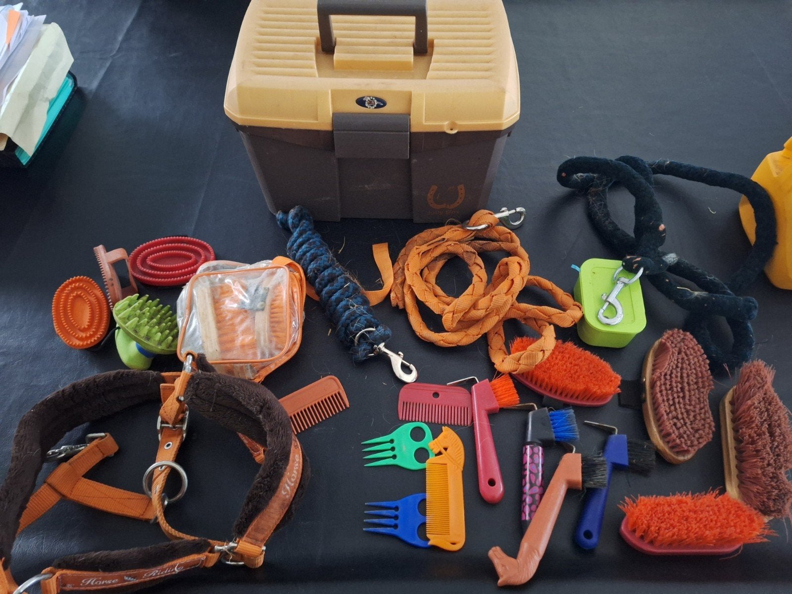 paarden kit, Ophalen of Verzenden