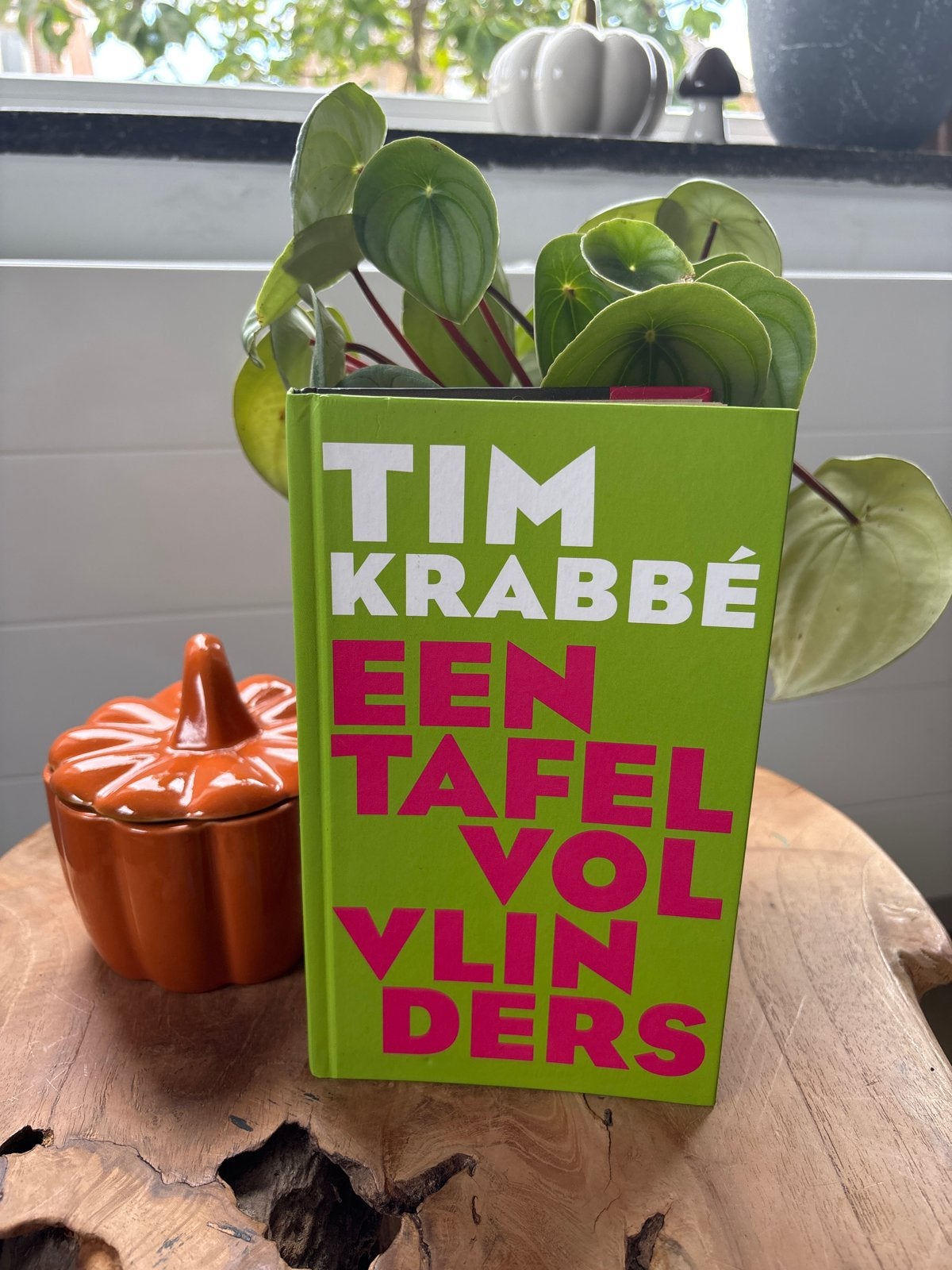 Tim Krabbé - Een Tafel Vol Vlinders (Leesboek), Boeken, Ophalen of Verzenden, Gelezen, Nederland