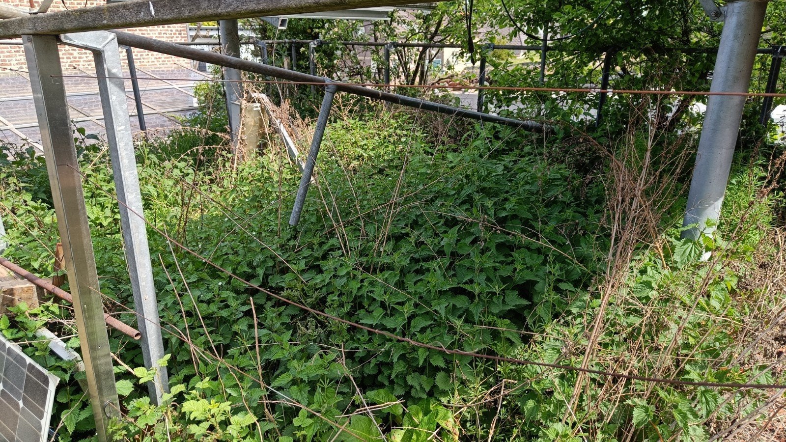 Hulp in de tuin gezocht, Ophalen of Verzenden