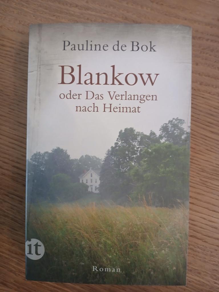 Blankow of Het Verlangen naar Thuis - Pauline de Bok, Ophalen of Verzenden, Nieuw, Pauline de Bok, Europa overig