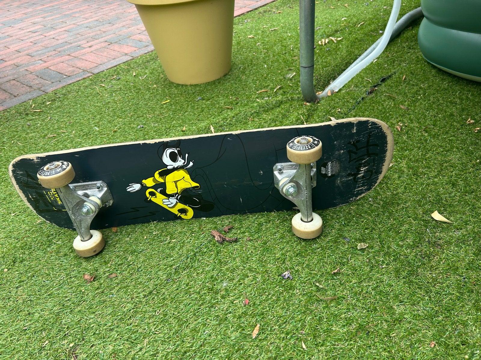 Gebruikt skateboard met unieke print, Sport en Fitness, Skateboarden, Ophalen, Gebruikt, Skateboard