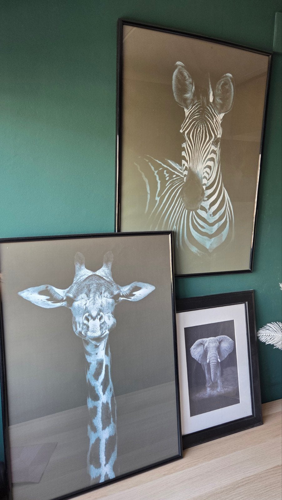 3 zwart/wit posters met lijst, Ophalen, Wit