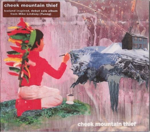 Cd Cheek Mountain Thief - Cheek Mountain Thief (indie rock), Ophalen of Verzenden, Zo goed als nieuw, Poprock