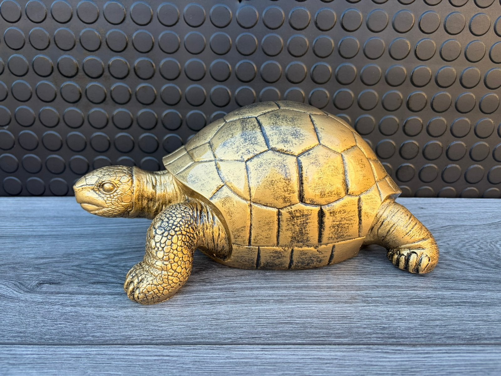 schildpad, Woondecoratie eindhoven, Nieuw, Ophalen of Verzenden, Woondecoratie eindhoven