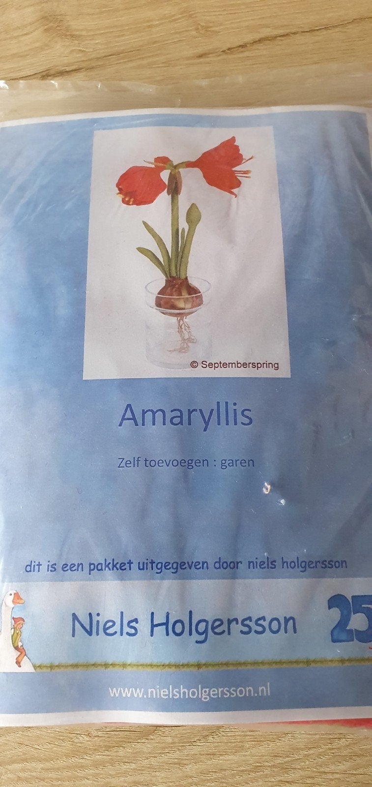 Viltpakket amaryllis...compleet.., Hobby en Vrije tijd, Vilt, Ophalen of Verzenden, Figuurtje(s)