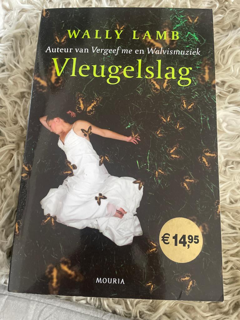 Vleugelslag - Wally Lamb (Roman), Boeken, Ophalen of Verzenden, Gelezen, Europa overig