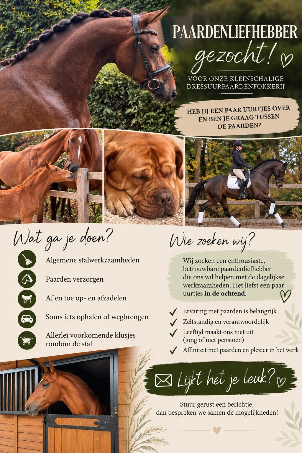 Gezocht hulp bij de paarden. Omgeving Cuijk, Vacatures, Overige vormen, Geschikt als bijbaan, Tot en met 24 uur, Vanaf 3 jaar