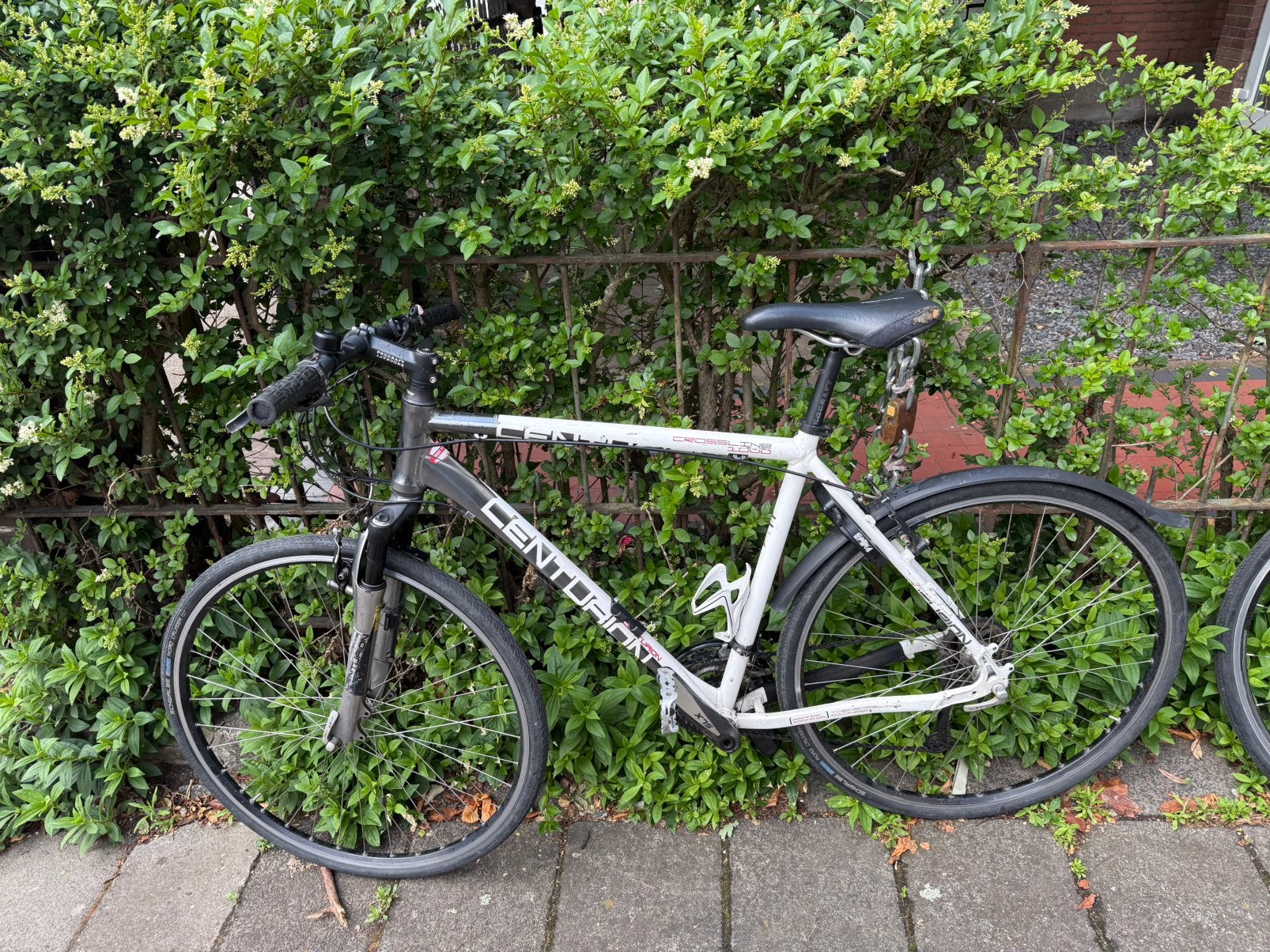 Heren Mountainbike Centurion in top staat!, Ophalen, Gebruikt, Overige merken