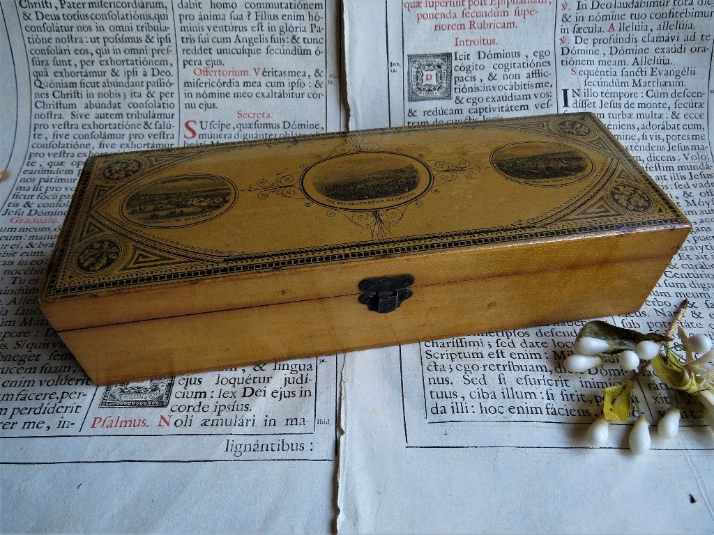 Antieke Mauchline handschoenendoos, Weymouth c.1865, Antiek en Kunst, Ophalen of Verzenden
