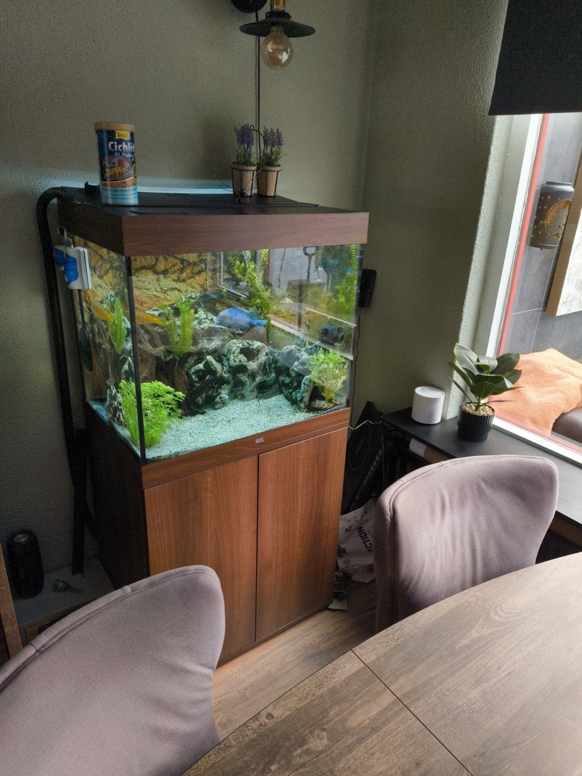 Juwel lido 200 compleet, Dieren en Toebehoren, Ophalen, Zo goed als nieuw, Gevuld zoetwateraquarium