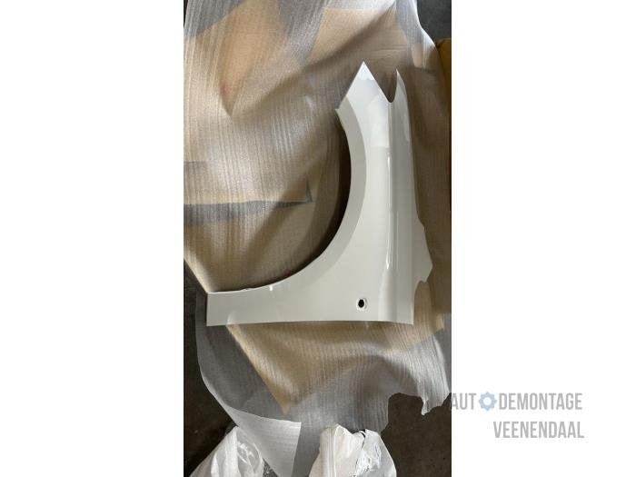 Scherm links-voor van een Volkswagen Caddy (LB9A), -, Volkswagen, -, Nieuw