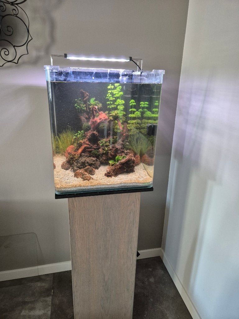 Te koop zgan Dennerle 60 liter Nanocube aquarium, Dieren en Toebehoren, Vissen | Aquaria en Toebehoren, Dennerle, Zo goed als nieuw