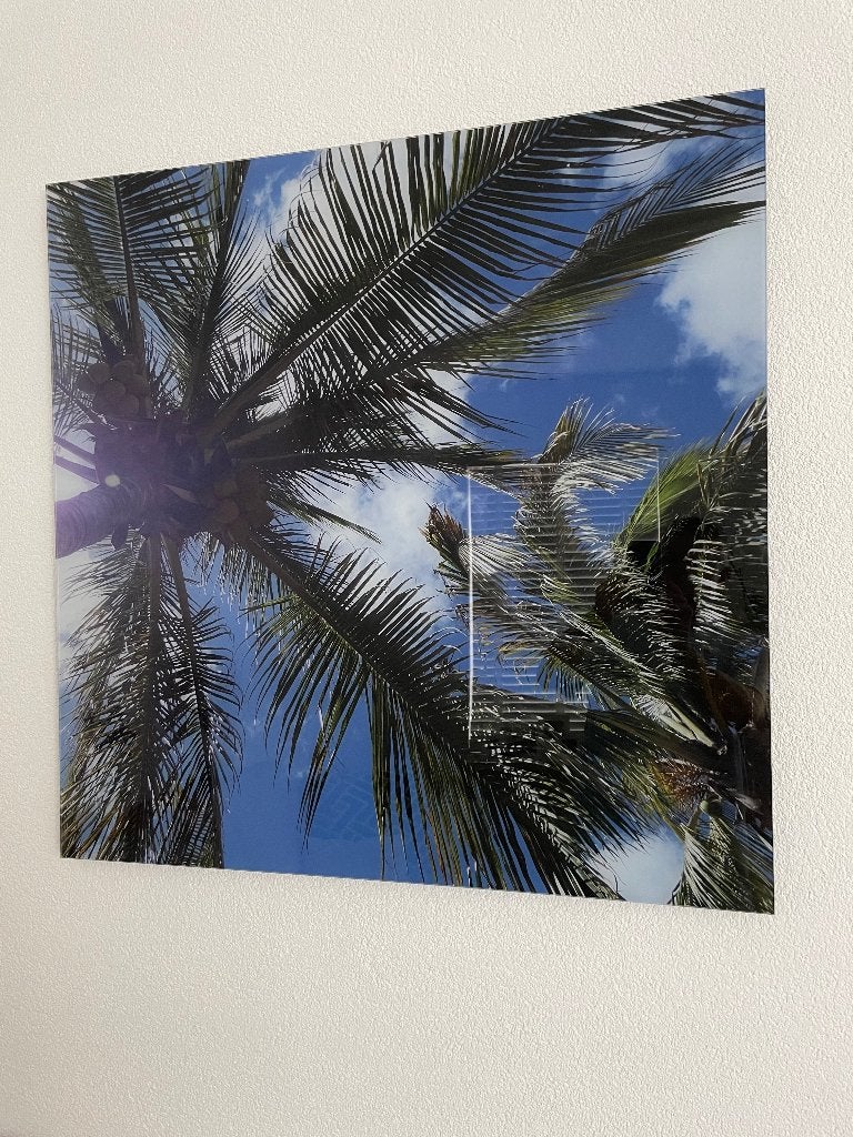 Foto plexiglas palmboom, Huis en Inrichting, Ophalen, Overige materialen, 90 cm, 90 cm