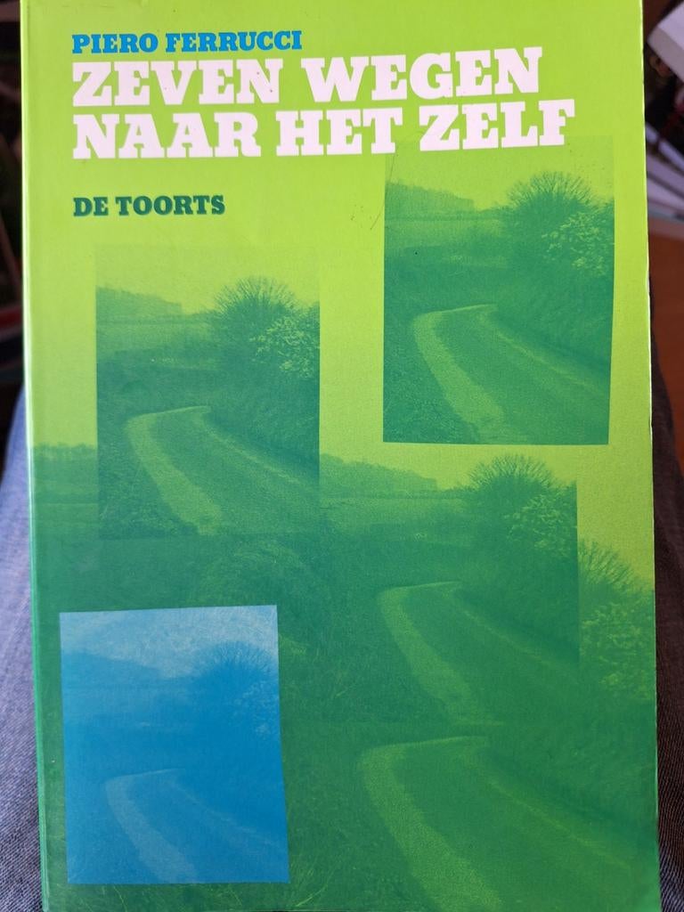Zeven Wegen Naar Het Zelf - Piero Ferrucci, Ophalen of Verzenden, Spiritualiteit algemeen, Achtergrond en Informatie