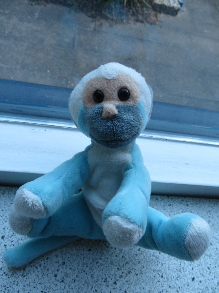 Doodshoofdaapje aap Petjes World dierentuin Apenheul blauw, Blauw, Wasbaar, Ophalen of Verzenden, Zo goed als nieuw