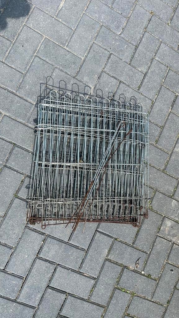 Te koop knaagdierenren, Konijn, Ren, Ophalen, Minder dan 60 cm