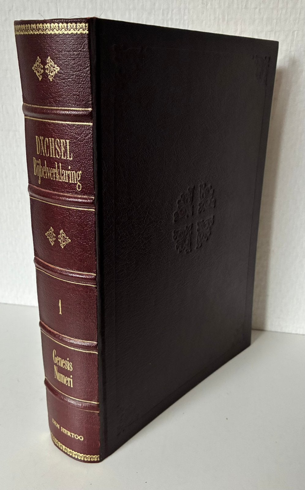 Dachsel bijbelverklaring deel 1, Boeken, Godsdienst en Theologie, Ophalen of Verzenden, Gelezen
