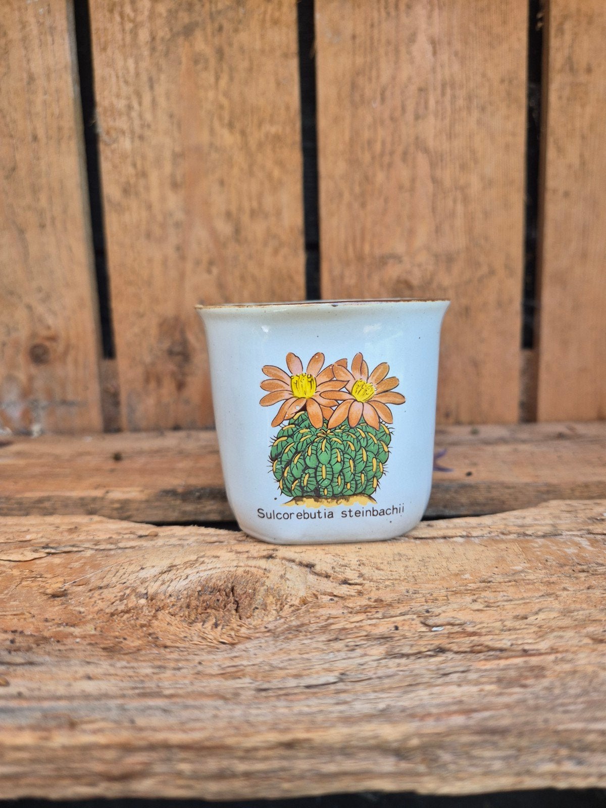 Vintage bloempotje met cactus print - Sulcorebutia, Rond, Ophalen of Verzenden, Aardewerk, Minder dan 40 cm