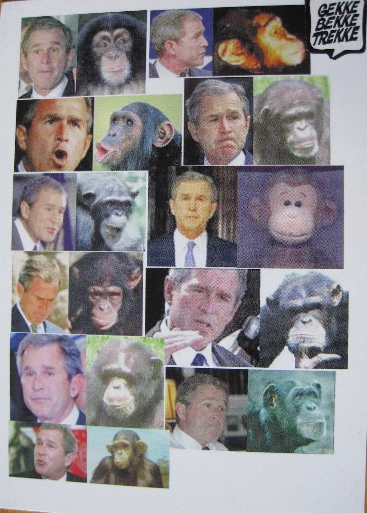 Boomerang - Gekke Bekke Trekke - Bush Bush - nieuw, Verzenden, 1980 tot heden, Ongelopen, Overige thema's