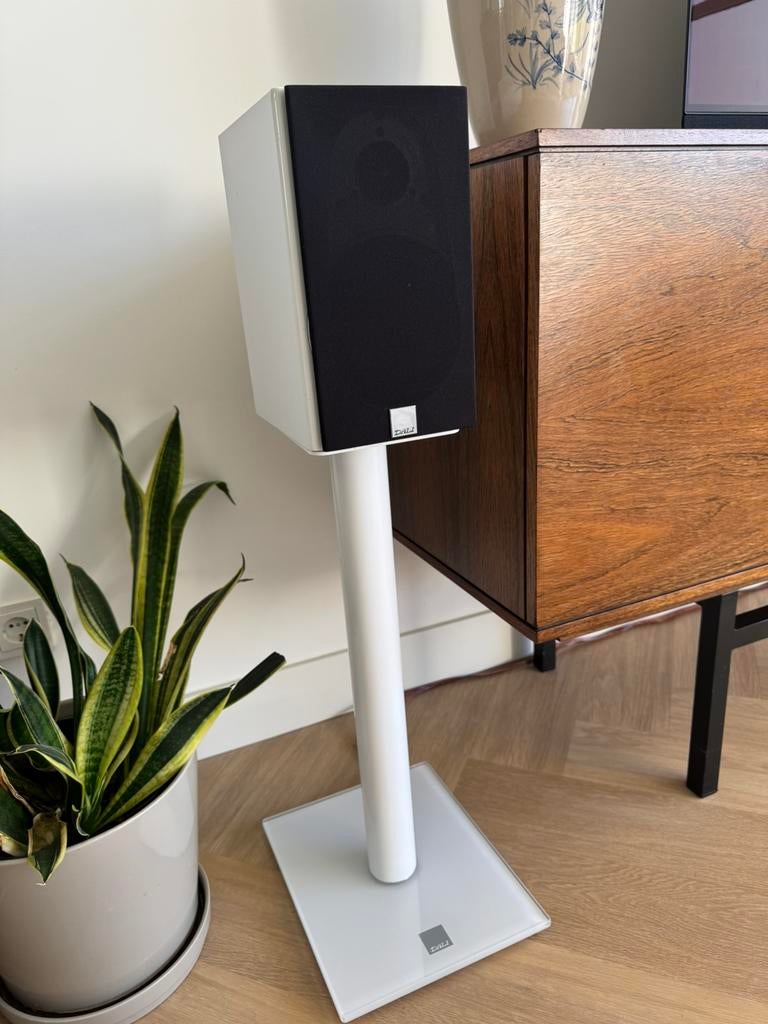DALI Zensor 1 + Originele DALI Stands – Wit Hoogglans, Zo goed als nieuw, 60 tot 120 watt, Front, Rear of Stereo speakers, Ophalen