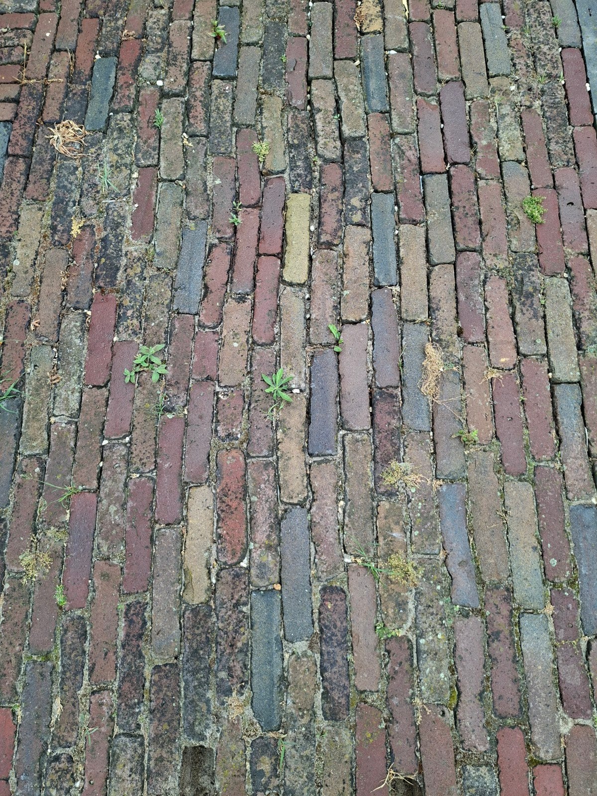 diverse partije oude gebakken waaltjes/5duimers op pallets, Tuin en Terras, Tegels en Klinkers, Gebruikt, Keramiek, Klinkers, Ophalen of Verzenden