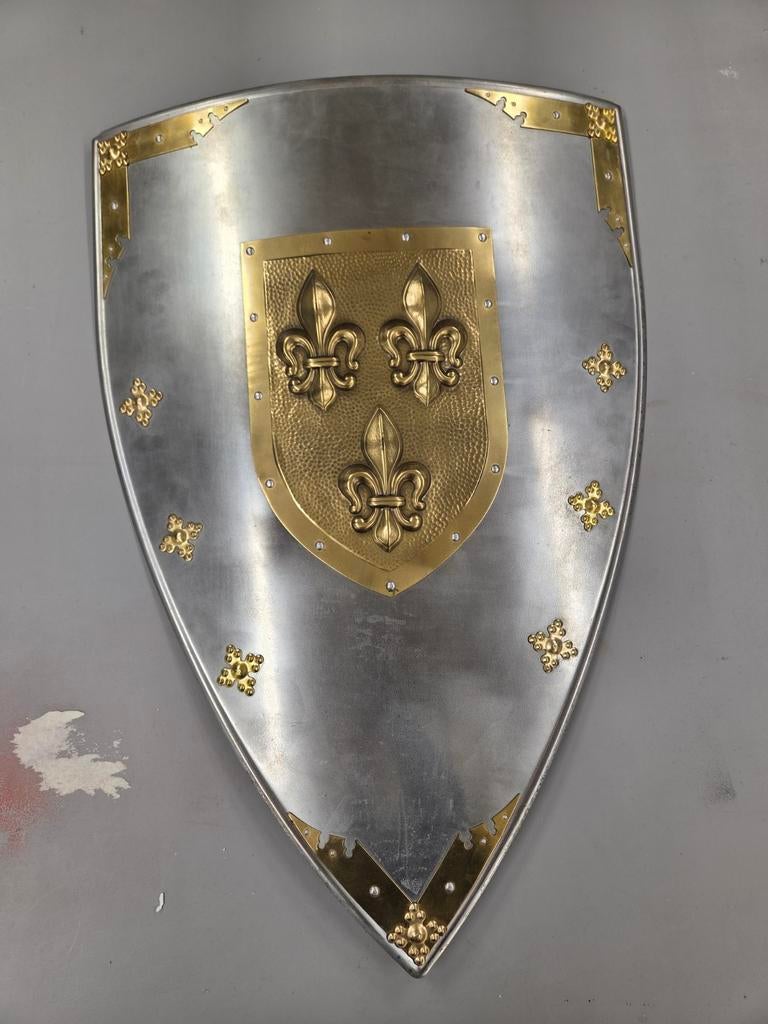 Decoratief Middeleeuws Schild met Fleur-de-lis, Ophalen