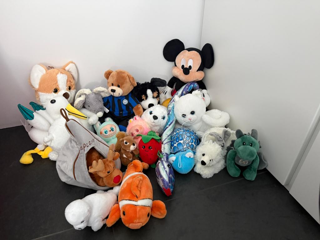 Knuffels 20 stuks, Ophalen of Verzenden, Zo goed als nieuw, Overige typen