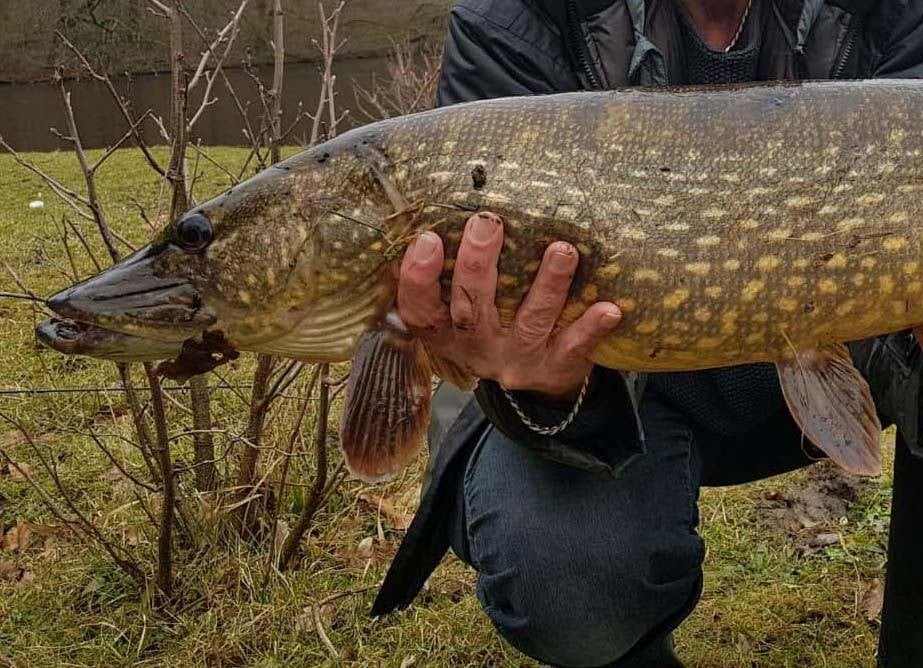 Snoekstreamer D 2 met 2 dreggen voor Spinhengel Baitcaster, Ophalen, Nieuw, Complete set