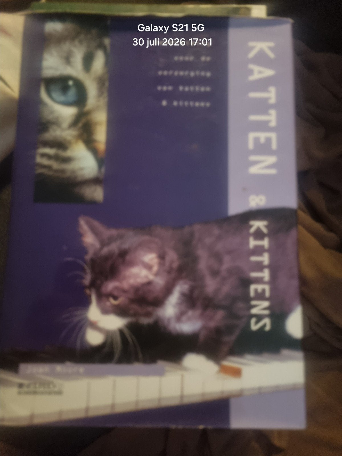 Uitgebreide Kattenhandleiding: Van Kitten tot Oude Kat, Ophalen of Verzenden, Gelezen, Katten, Joan Moore