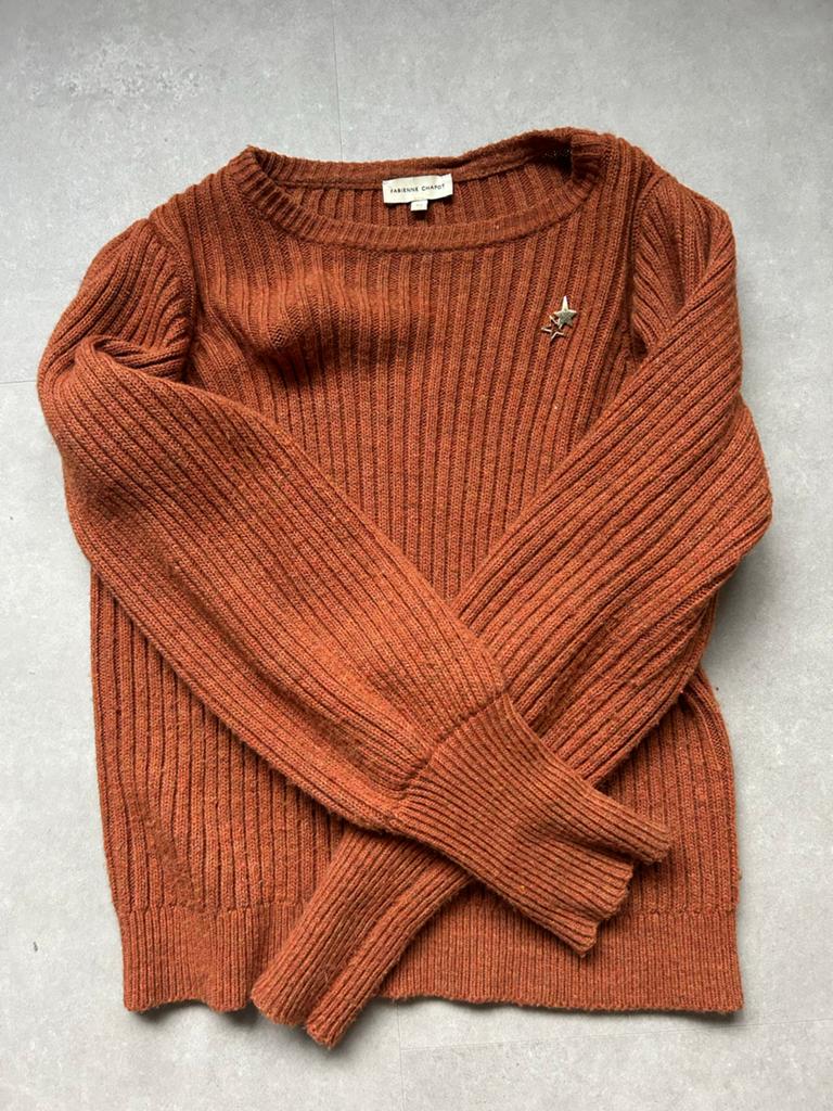Fabienne Chapot trui maat XS, Kleding | Dames, Ophalen of Verzenden, Zo goed als nieuw, Maat 34 (XS) of kleiner, Bruin