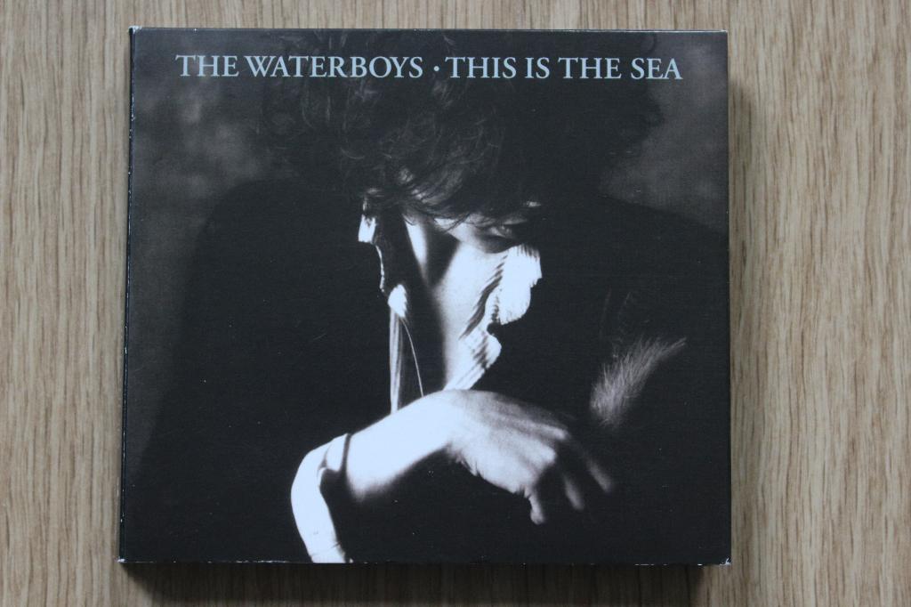 The Waterboys - This Is The Sea - Deluxe Edition 2CD, Ophalen of Verzenden, Zo goed als nieuw