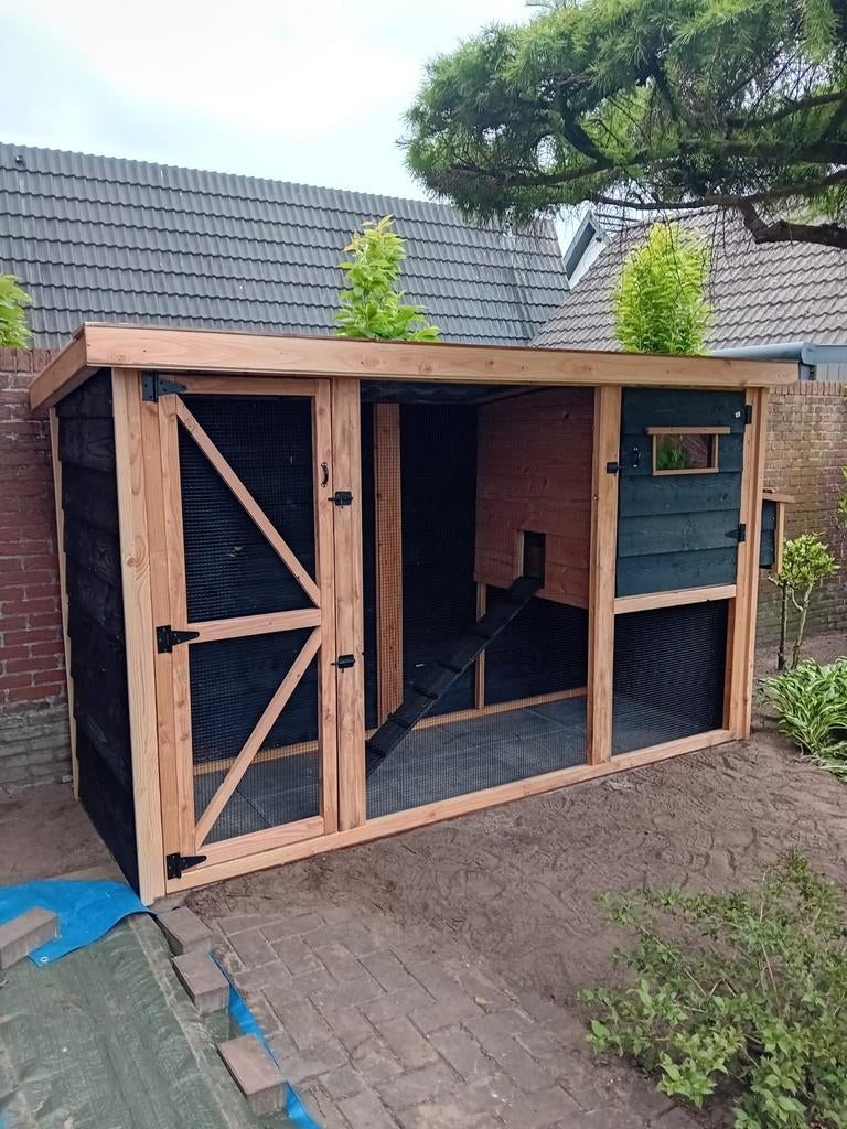 Douglas kippenhok Barnevelder HOOG, op maat, Ophalen of Verzenden, Nieuw, Kippenhok of Kippenren