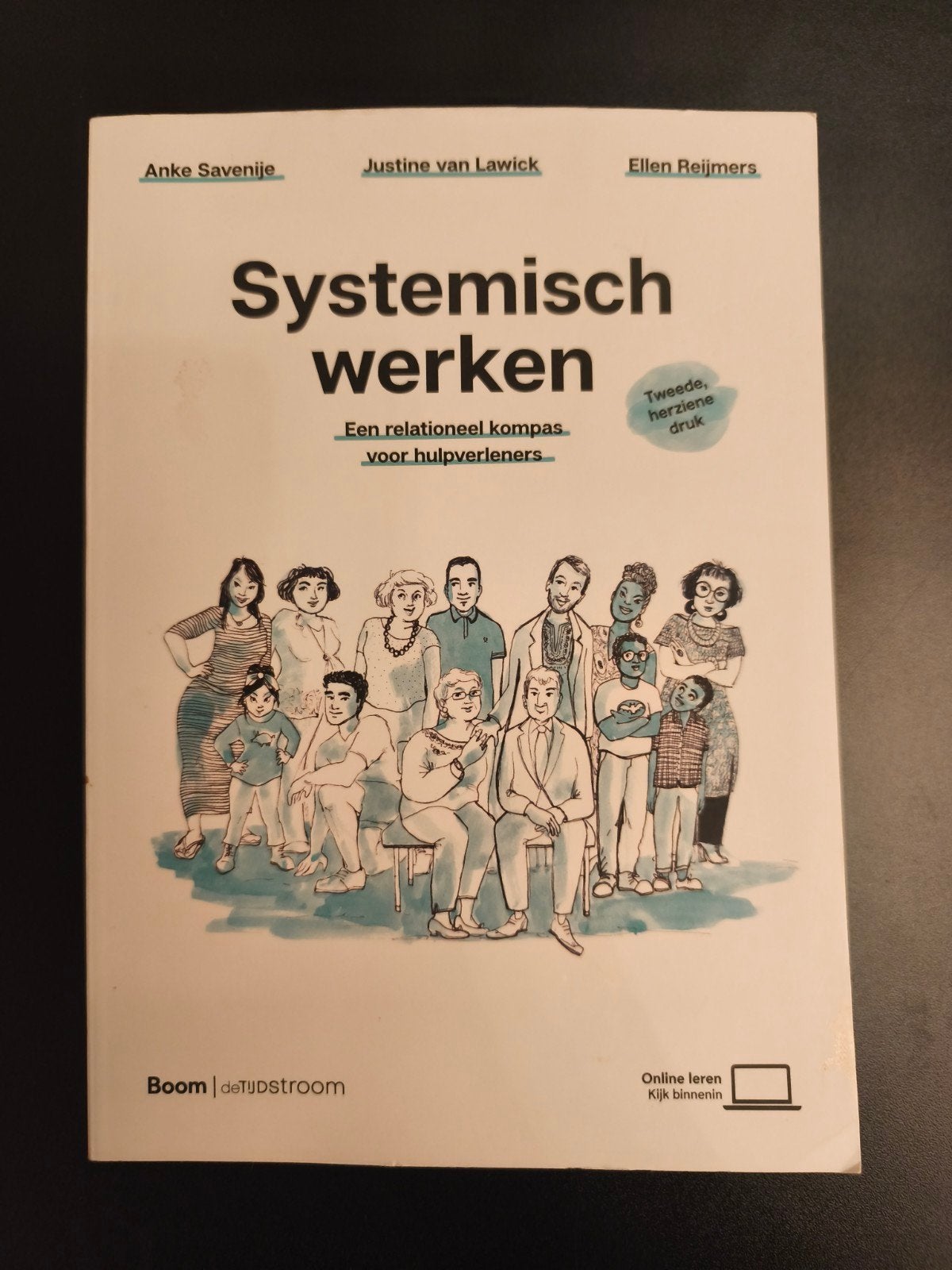 Systemisch werken - Een relationeel kompas, Boeken, Studieboeken en Cursussen, Ophalen of Verzenden, Zo goed als nieuw, Anke Savenije, Justine van Lawick, Ellen Reijmers