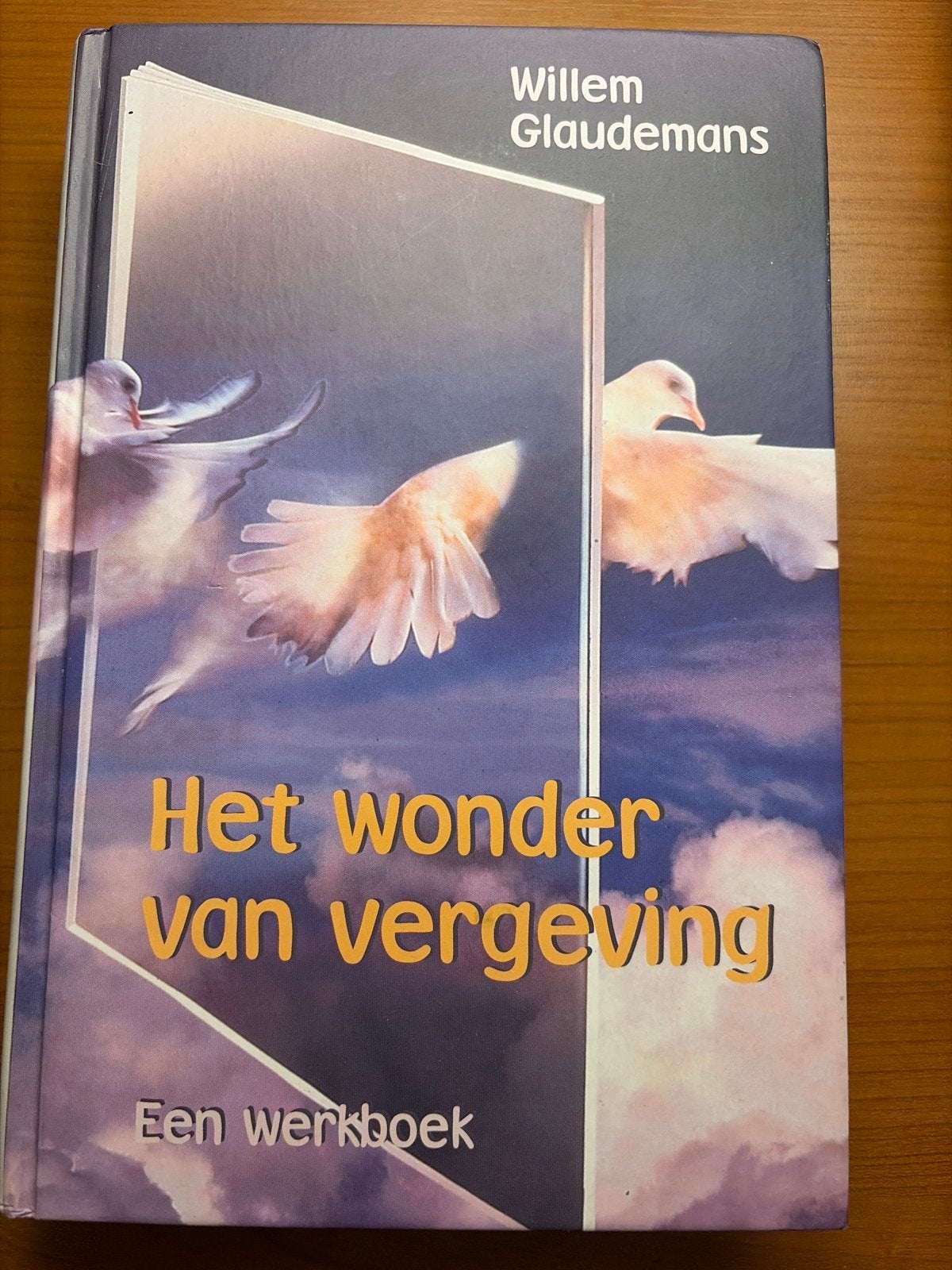 Het wonder van vergeving - Een werkboek (Willem Glaudemans), Ophalen of Verzenden, Gelezen