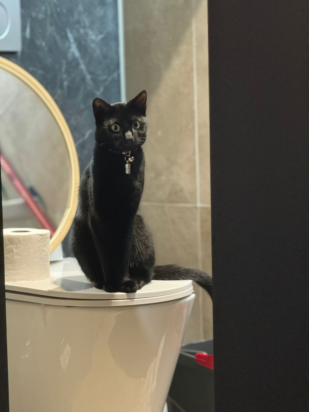 Zwarte poes (Boefje), Poes