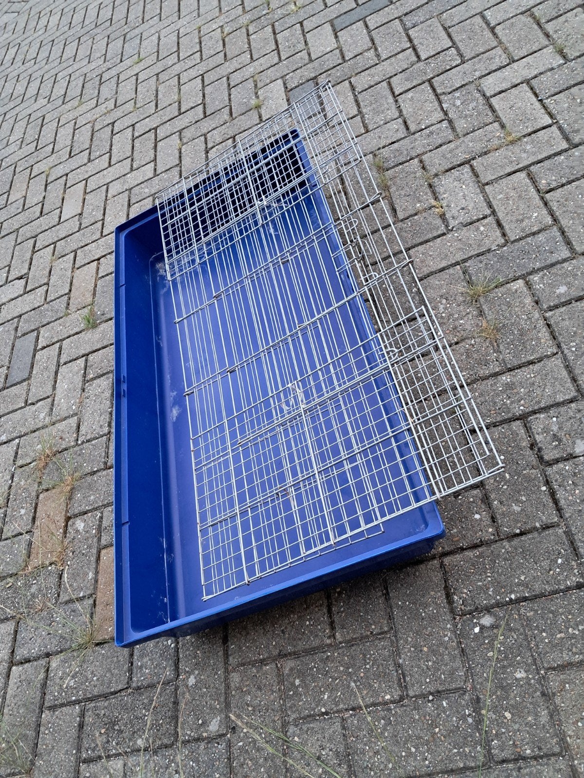 Kooi voor konijnen of cavia's 1.20 m, Dieren en Toebehoren, Kooi, Zo goed als nieuw, Cavia, Ophalen