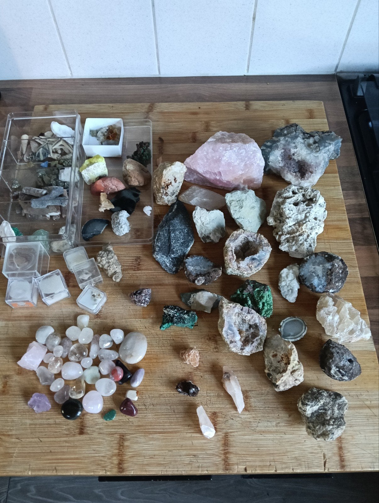 Grote verzameling edelstenen, mineralen en fossielen, Ophalen, Fossiel