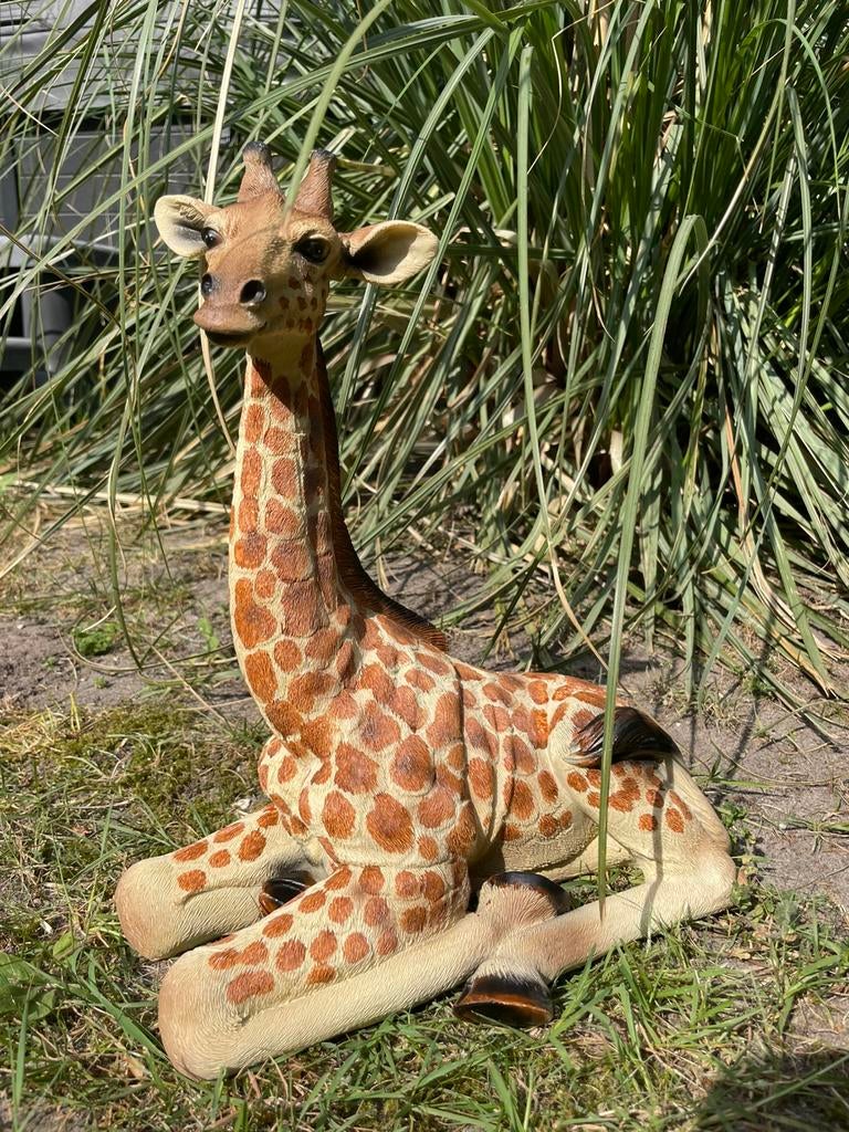 Giraf liggend giraffe beeld tuin huis dier dierentuin, Ophalen of Verzenden, Nieuw, Kunststof, Dierenbeeld