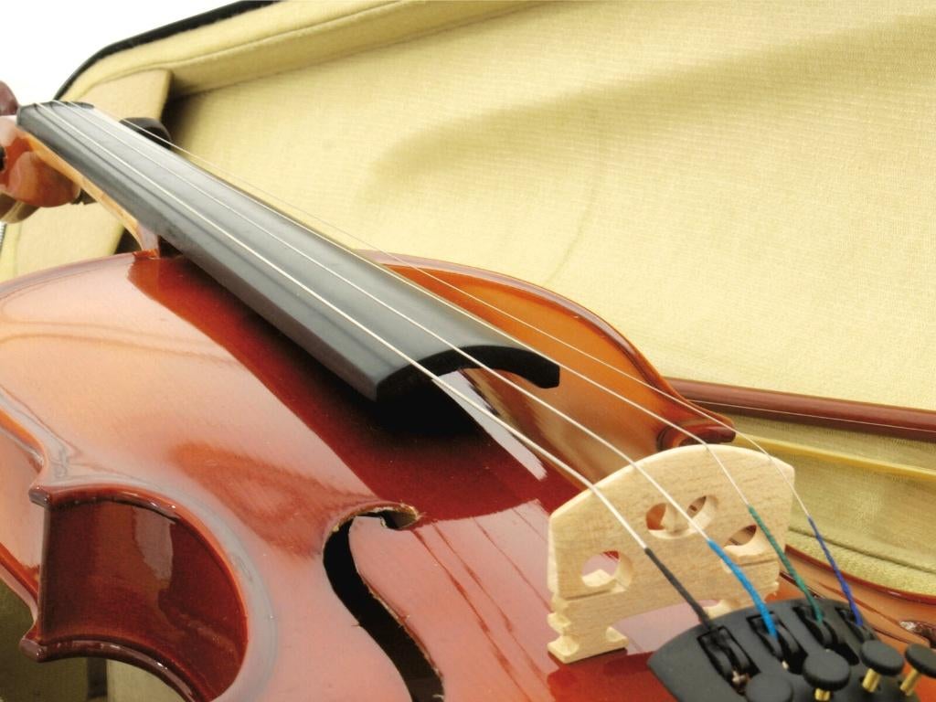 DIMAVERY Viool 4/4 met strijkstok in koffer, ., Nieuw, Ophalen of Verzenden, .