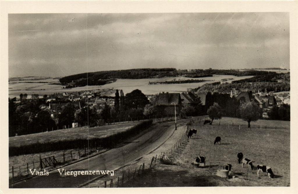 Vaals - Viergrenzenweg - koeien - ongelopen, Verzamelen, Ophalen of Verzenden, 1940 tot 1960, Ongelopen, Limburg