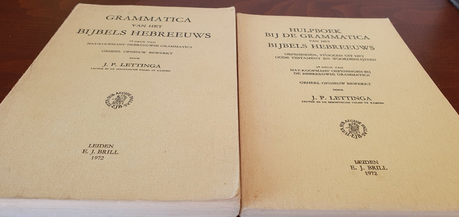 Grammatica van het Bijbels Hebreeuws + hulpboek, Ophalen of Verzenden, J.P. Lettinga, 20e eeuw of later, Gelezen